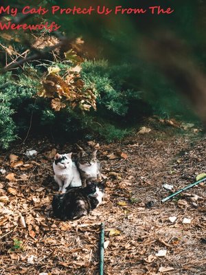 cover image of My Cats Protect Us From the Werewolfs